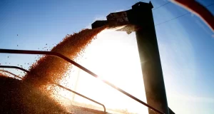 Cae un 19% la confianza del campo sobre el futuro del sector y vuelve a encenderse la luz de alerta en las inversiones