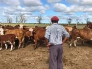 UATRE: se alcanzó un acuerdo con la Mesa de Enlace y el salario del peón llegará a casi $ 900.000