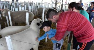 Villa Mercedes se prepara para vivir la 94ª Expo Rural Río Quinto 2025