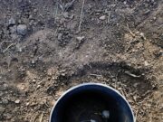 San Luis sumará sensores de humedad y temperatura del suelo en su red meteorológica