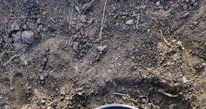 San Luis sumará sensores de humedad y temperatura del suelo en su red meteorológica