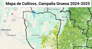 Más allá de la media: San Luis sobresale en el nuevo mapa de cultivos nacionales