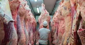 Guerra de aranceles: ¿Cómo podría quedar posicionada Argentina en un nuevo escenario?