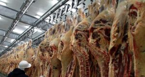 Gusto a poco: en la industria frigorífica quedaron descolocados tras los anuncios de Milei