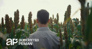 Academia Pemán profundiza en la eficiencia y rentabilidad del silaje para la producción ganadera