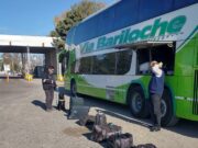 Recomendaciones para quienes viajan a la Patagonia con productos alimenticios