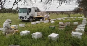 San Luis convoca a la primera Mesa Sectorial Apícola Provincial