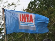 La justicia frenó el despido de casi 300 trabajadores del INTA y dispuso una multa de 10 millones de pesos por día si mantiene la rebeldía