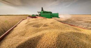 Menores rindes en EE.UU. y márgenes récord en Argentina reconfiguran el mercado de granos