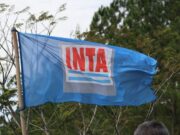 Otro decreto de Milei avanza con los cambios en el INTA: suprimió la Dirección Nacional