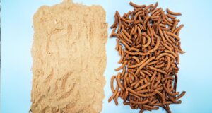 Investigaciones de científicos del CONICET permiten incorporar nuevos productos al Código Alimentario Argentino