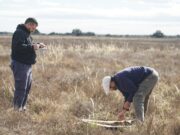 Lanzan en San Luis y Mendoza la primera Especialización en Manejo Holístico con certificación internacional