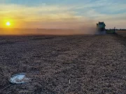 Con un sistema de aire forzado, se reducen en un 54% las pérdidas en la cosecha