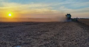 Con un sistema de aire forzado, se reducen en un 54% las pérdidas en la cosecha