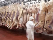 Exportaciones de carne: julio marca un quiebre y agosto pone a prueba el nuevo tablero comercial