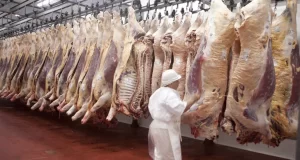 Exportaciones de carne: julio marca un quiebre y agosto pone a prueba el nuevo tablero comercial