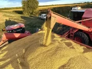 China impulsa compras récord de soja argentina y el trigo proyecta la mejor campaña en años
