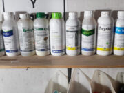 Senasa capacitó en Villa Mercedes sobre el uso responsable de fitosanitarios