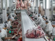 Faena y producción: el delicado equilibrio entre sostener la oferta de carne y recomponer stock