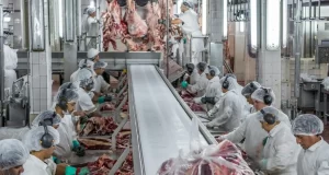 Faena y producción: el delicado equilibrio entre sostener la oferta de carne y recomponer stock