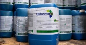 ¿Qué será del glifosato en un futuro cercano?