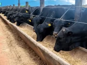 La UNSL y el INTA impulsan un laboratorio clave para el análisis de alimentos destinados a rumiantes