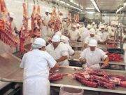 Carnes: el consumo se sostiene, las exportaciones crecen, pero lo frigoríficos enfrentan fuertes presiones de costos