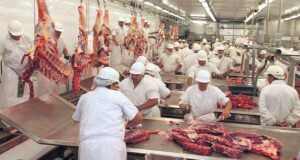 Carnes: el consumo se sostiene, las exportaciones crecen, pero lo frigoríficos enfrentan fuertes presiones de costos