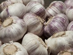 Argentina actualiza su reglamento sobre calidad del ajo en línea con el Mercosur