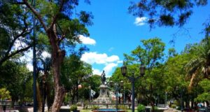 San Luis pierde su sombra: el arbolado público en crisis y sin políticas claras de recuperación