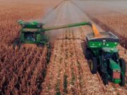 Fuerte impulso al agro argentino: la baja de retenciones reactiva el mercado