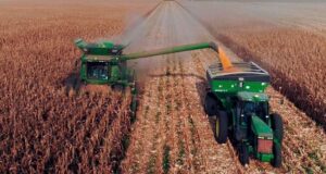 Fuerte impulso al agro argentino: la baja de retenciones reactiva el mercado