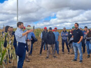 Soja y maíz en San Luis: el estudio que revela cuándo sembrar para ganar más y arriesgar menos