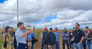 Soja y maíz en San Luis: el estudio que revela cuándo sembrar para ganar más y arriesgar menos