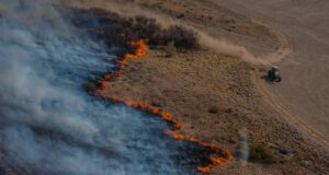 Fuego amigo: San Luis ensaya quemas prescriptas para recuperar pastizales y frenar la invasión de arbustos