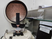 La Pampa: Decomiso y desnaturalización de más de 40 kg de carne de jabalí positiva a triquinosis