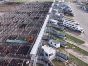 Nuevo protocolo para gestionar el riesgo del rodeo en el Mercado Agroganadero de Cañuelas