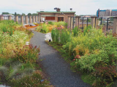 ¿Qué son los techos verde-azules y por qué se vuelven más importantes en primavera?