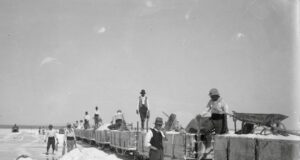 Las Salinas del Bebedero: el mar blanco de San Luis que guarda siglos de historia