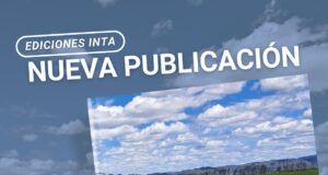 El clima en San Luis: un año de contrastes entre lluvias extraordinarias, sequías y heladas históricas