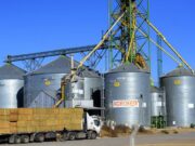 Caída preocupante: San Luis pierde terreno en el comercio exterior y suma tres años consecutivos de retrocesos