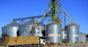 Caída preocupante: San Luis pierde terreno en el comercio exterior y suma tres años consecutivos de retrocesos