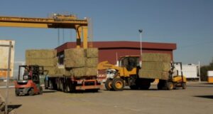 La UnViMe consolida la Licenciatura en Logística y proyecta su expansión en San Luis
