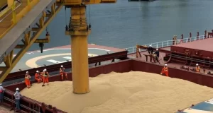 El mercado de granos en alerta por el giro de China en sus importaciones