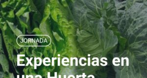 Huerta comunitaria: Tilisarao se prepara para una jornada de intercambio y aprendizaje colectivo