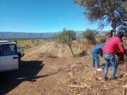 Servicios rurales integrales en San Luis: una propuesta confiable para el campo puntano
