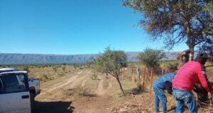 Servicios rurales integrales en San Luis: una propuesta confiable para el campo puntano