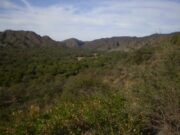 San Luis: compartirán el valor científico del Bajo de Véliz con una caminata experimental