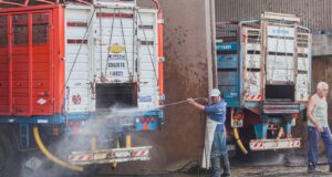 Actualizaron la normativa para playas de lavado y desinfección de transportes de animales