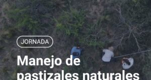 El fuego como aliado: productores y técnicos debatirán en Arizona el manejo de pastizales de monte de caldén en San Luis